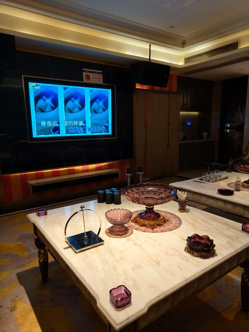 徐州商务ktv推荐商务ktv有哪些选择-新沂市ktv预定